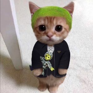 Meet your Posher, Grace